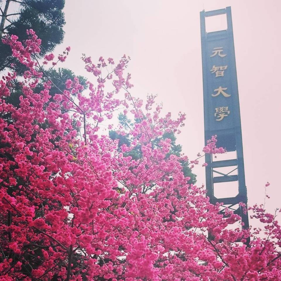 元智校景