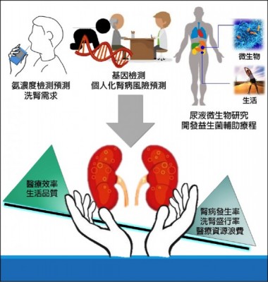 腎病研究