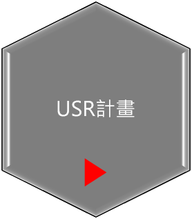 USR計畫play