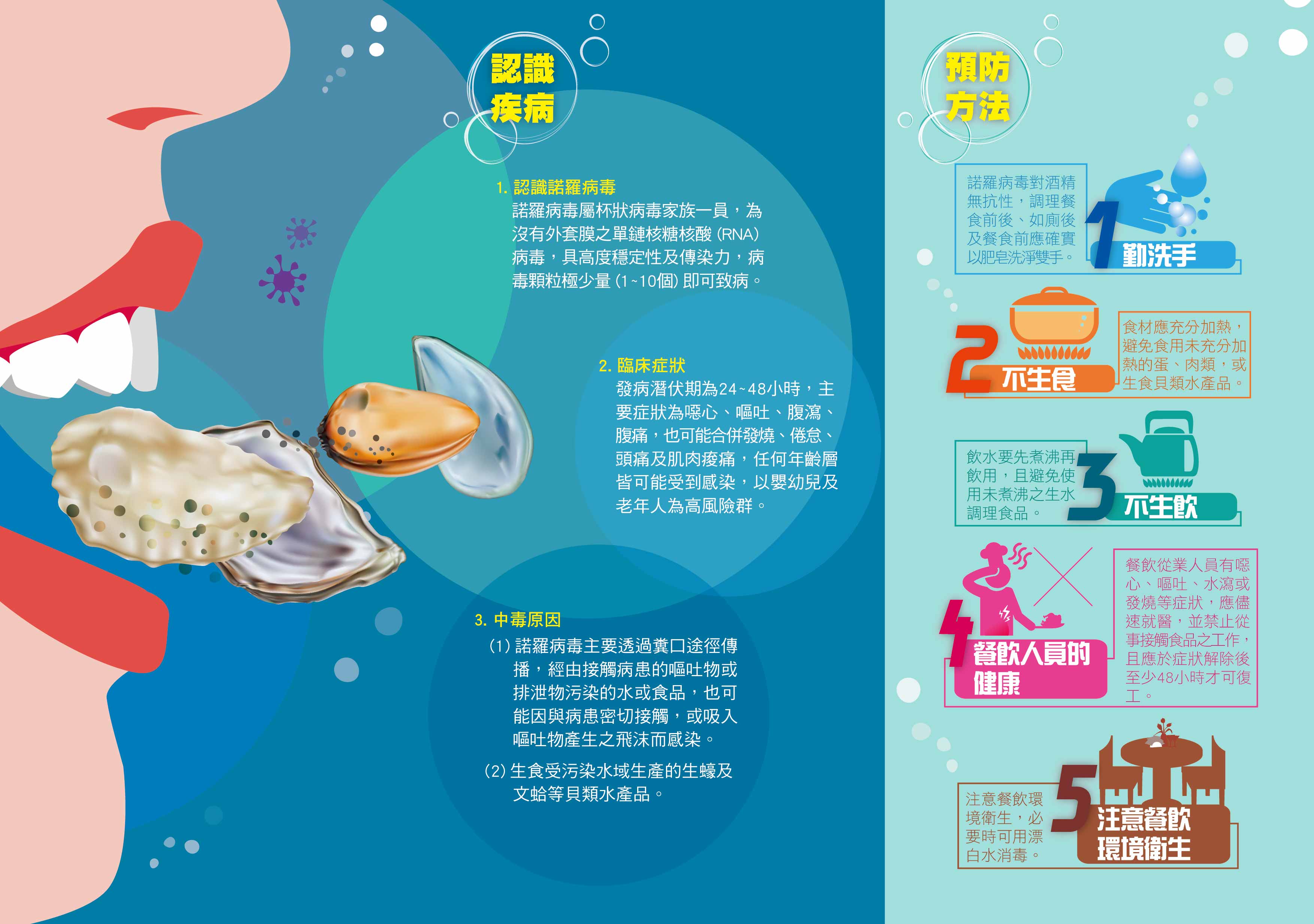諾羅病毒 頁面 2