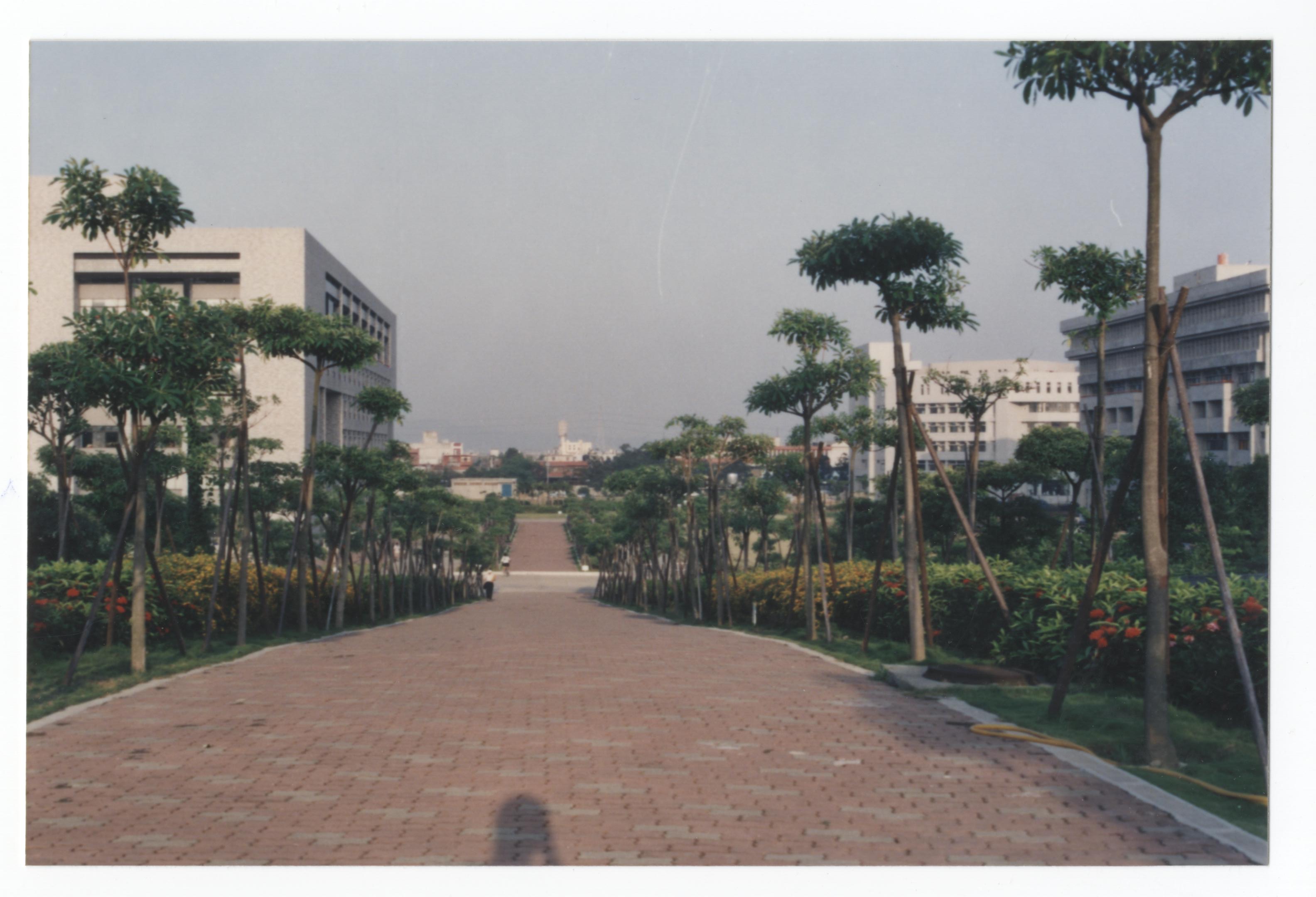 濃蔭大道001