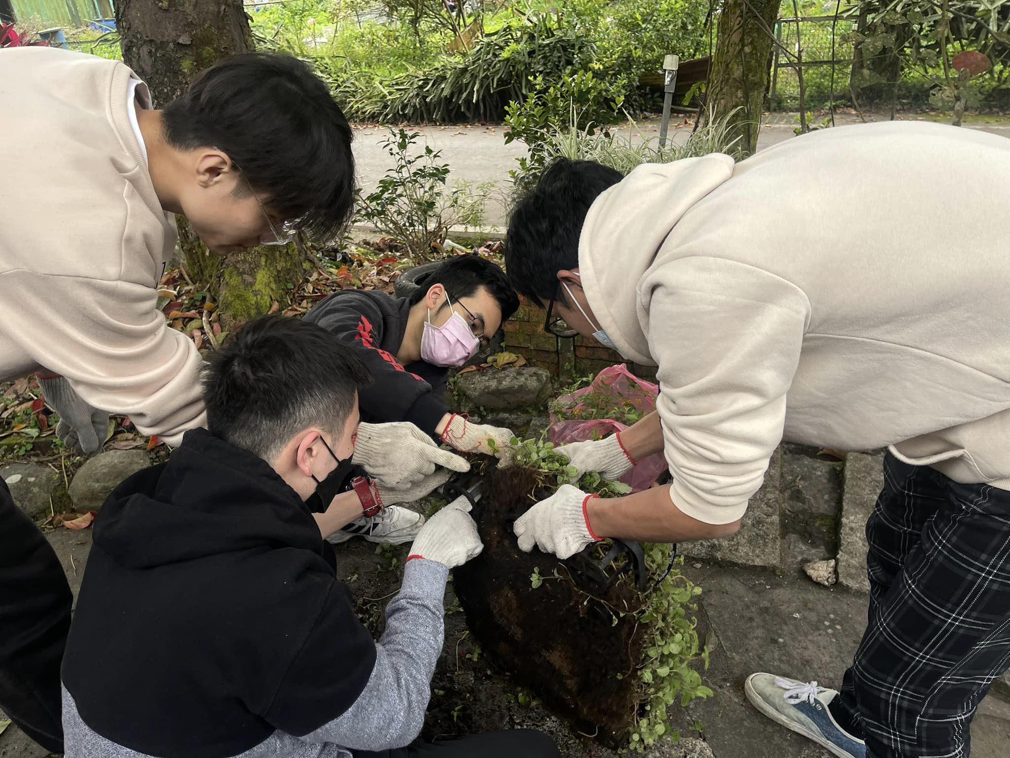 嵌入式系統光電應用